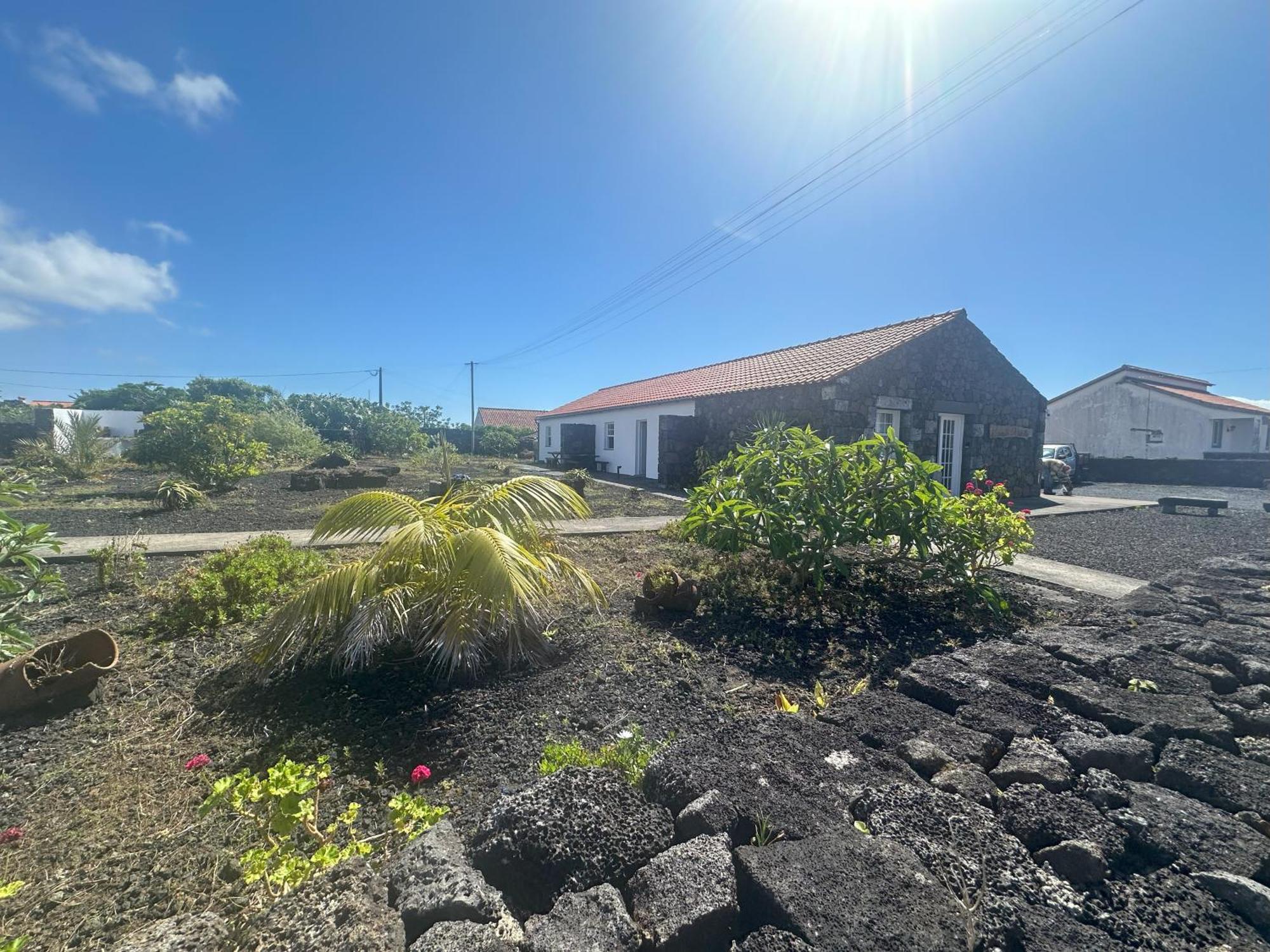 Casas Do Verdelho Madalena  Eksteriør bilde
