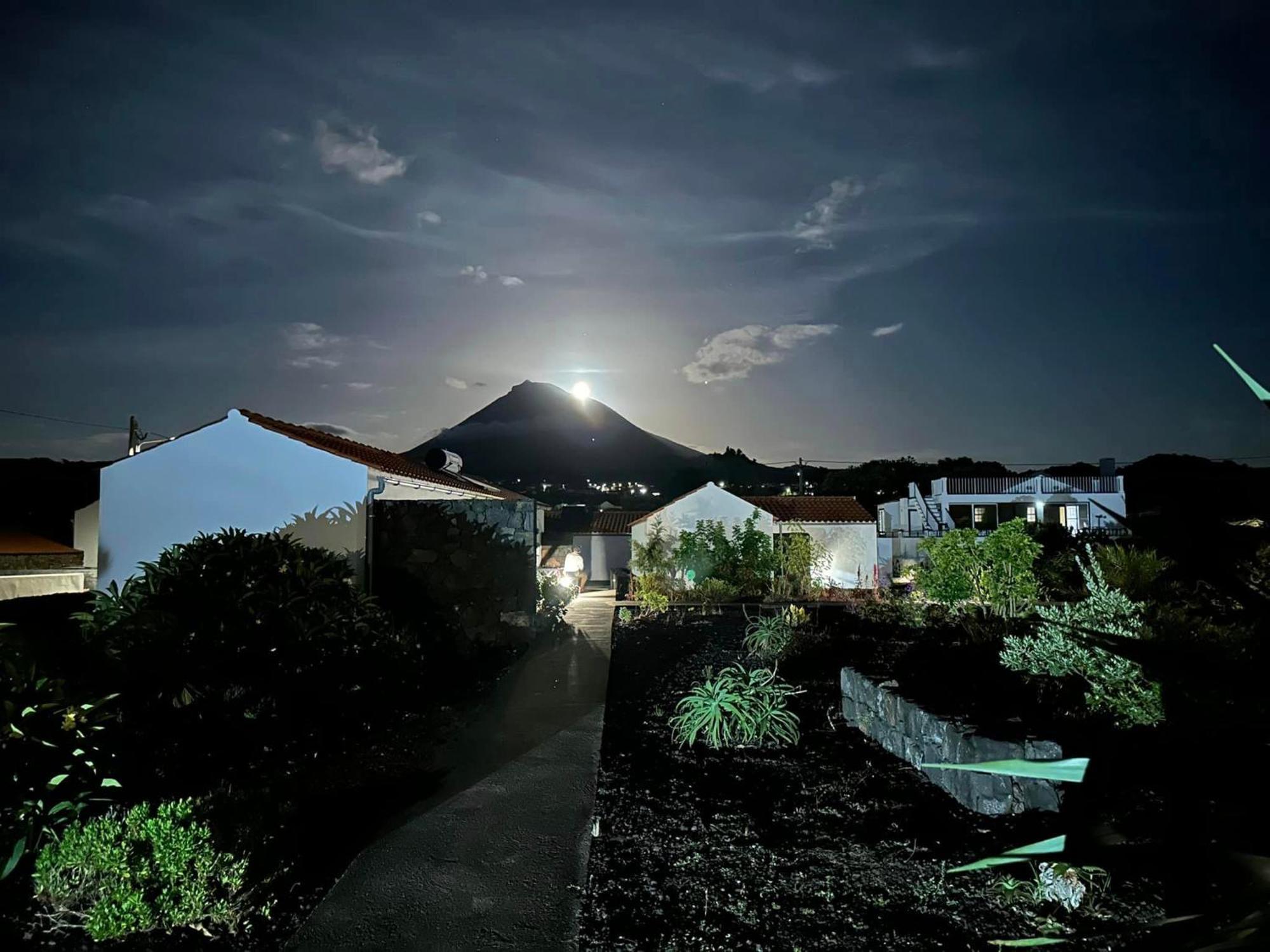 Casas Do Verdelho Madalena  Eksteriør bilde