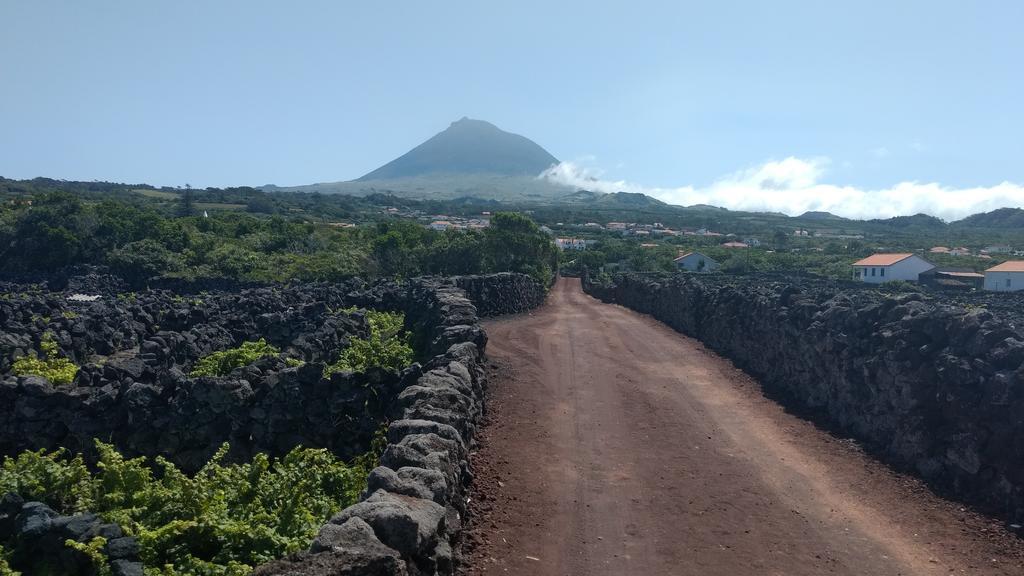 Casas Do Verdelho Madalena  Eksteriør bilde
