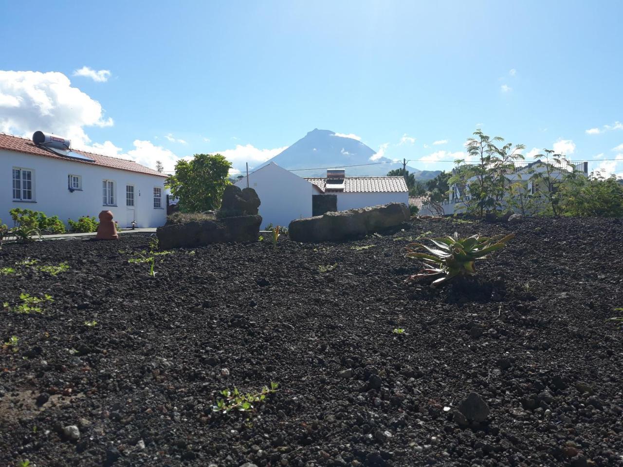 Casas Do Verdelho Madalena  Eksteriør bilde